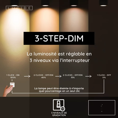 Lucide SKANSKA - Lampadaire - LED 3 StepDim - 2x5W 3000K - Noir - USP